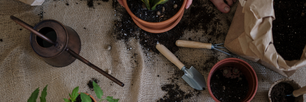 las mejores herramientas del jardín