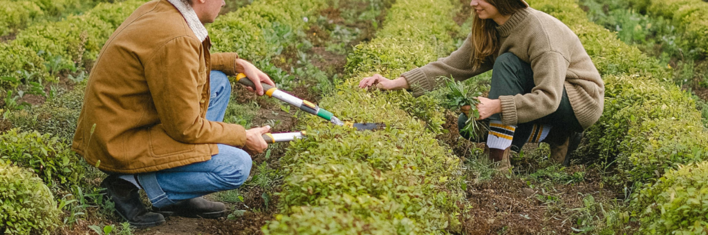 esenciales para jardín